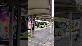 176 on Linkker Electric bus 🚌🤩😮😁 singapore smrt sgbus [upl. by Asilat]