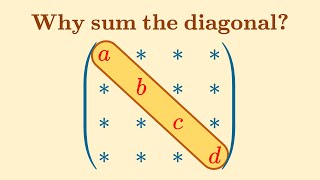 Matrix trace isnt just summing the diagonal  Lie groups algebras brackets 5 [upl. by Haynes]