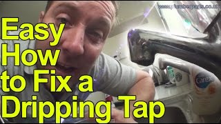 EASY HOW TO FIX A DRIPPING TAP  WASHER CHANGE  Plumbing Tips [upl. by Benilda]