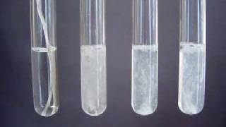 Group 2 Reactions with water  Periodic Properties [upl. by Bryana152]