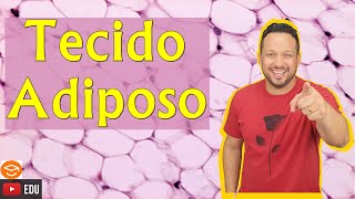 Tecido Adiposo  Características e Funções  Tecido Conjuntivo Especial  Histologia Animal [upl. by Atinal]