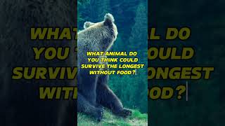 Incredible bear 🐻 secret survival tools fact facts motivation bear secret wildlife shorts [upl. by Cockburn221]