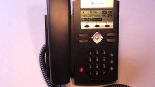 PolyCom 2 Line Phone  Placing A Call on Hold [upl. by Brawner]