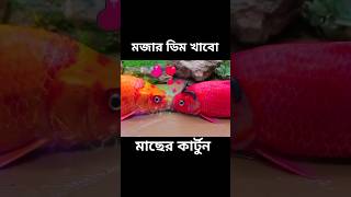 আমার সাথে বাটপারি  Macher Cartoon Bhuter Cartoon Amezing Facts Bangla Cartoon shorts [upl. by Aubert]