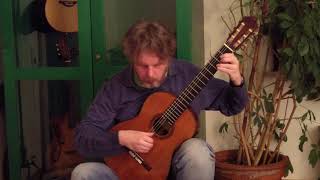 RCM Guitar Series  Introductory  Dance Neusidler [upl. by Colson]