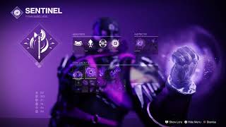 New Void Pve Build amp Fashion for Titan with Peacekeepers Season 25 Destiny 2 [upl. by Inattyrb358]