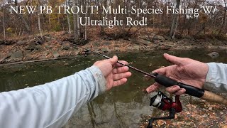 NEW PB TROUT MultiSpecies Fishing W Ultralight Rod [upl. by Onin]