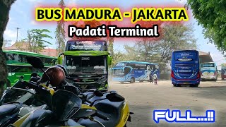 BUS MADURA  JAKARTA PADATI TERMINAL SUMENEP 🔥  Konvoi keluar dari Terminal [upl. by Ahsercal]