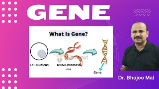 GENE  What is Gene  by Dr Bhojoo Mal [upl. by Whitehurst]