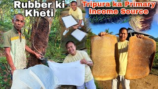 How Tripura Farmers are becoming Millionaires  Tripura ka Rubber ki kheti  How The Tribal survive [upl. by Colvert943]