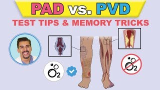 PAD vs PVI cartoon animation amp memory tricks peripheral arterial disease pathophysiology signs [upl. by Ettenirt]