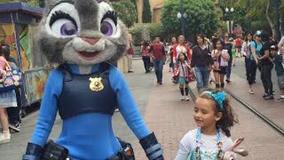 Meeting ZOOTOPIA characters at Disneyland California Adventure [upl. by Ramsdell]