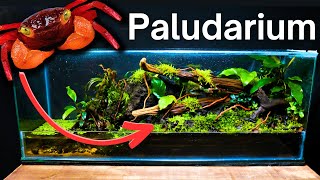 I Made a Paludarium for Vampire Crabs Here’s How [upl. by Themis]