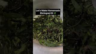 Bhringraj oil🌿✨subscribe ytshorts homemade [upl. by Aneroc]