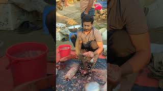 Blood Carp Fish Cutting Experts youtubeshorts fishcuttingskills viralvideo [upl. by Ottinger]