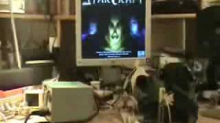 StarCraft running on 386DX 40MHz 4MB RAM  Part 1 [upl. by Rialc]