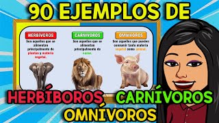 90 EJEMPLOS de ANIMALES Carnívoros Herbívoros Omnívoros [upl. by Mazurek]