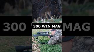 300 Win Mag DROPS Deer shorts [upl. by Wasserman965]