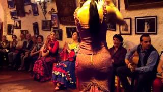 Flamenco Dance by Spanish Gypsies Part 2 [upl. by Levina]