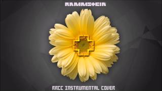 Rammstein  Heirate Mich instrumental cover [upl. by Carpio]