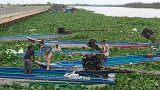 The propeller of a longtail boat turns water hyacinth grass into pieces [upl. by Dabbs]