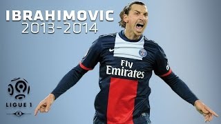 Zlatan Ibrahimovic  All Goals in 20132014 1st half  PSG [upl. by Wojak130]