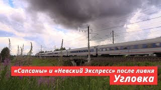 «Sapsan» highspeed trains through the shower [upl. by Selokcin]