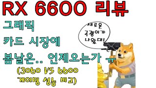 AMD 새 그래픽카드 RX 6600 6600XT VS 3060 VS 6600 리뷰  신성조 [upl. by Lalla]