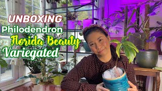 Unboxing Philodendron Florida Beauty Variegated and care tips  Rare Houseplant  Wishlist Plant [upl. by Patrick]