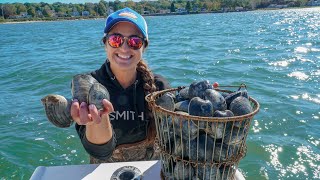 GIANT CLAMS Catch and COOK Coastal Foraging Niantic River Connecticut [upl. by Laerol]