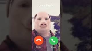 John pork calling [upl. by Dralliw]