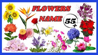 Flowers Name for kids  50 Flower name for kids learning  Common Flowers Name for kids [upl. by Akemak]