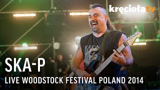 SKAP LIVE Woodstock Festival Poland 2014 FULL CONCERT [upl. by Okimat766]