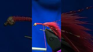 Flamethrower Micro Leech Stillwater Fly Pattern Fly Tying Tutorial Video…Simple but awesome [upl. by Miehar]