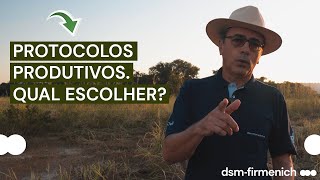 Escolhendo protocolos produtivos defensivo ofensivo ou adaptativo [upl. by Dibbrun]