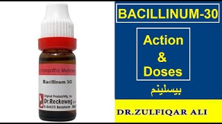 Bacillinum  Action  Doses  Explained in UrduHindi [upl. by Nomannic361]