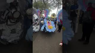 The Golden Comanche Black Masquerades of New Orleans nola culture [upl. by Carlos214]