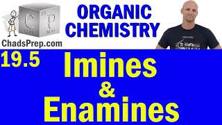 195 Imine and Enamine Formation  Addition of Amines  Organic Chemistry [upl. by Hildebrandt884]