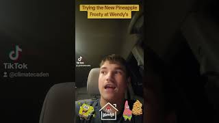 Trying the New Pineapple Frosty at Wendys Food Review 39 [upl. by Fulcher]