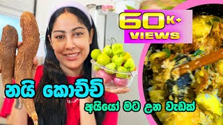 Piumi Srinayaka cooking නැන්දම්මගේ recipe එකකට රසම රස කෑමක් හැදුවා  manioc curry  2024 [upl. by Ecniuq]