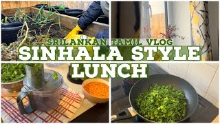 Sinhala Style Lunch  Ambul Theeyal  Srilankan Tamil Vlog [upl. by Quintessa702]