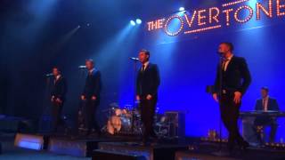 The Overtones  Gambling man live in Gürzenich Köln [upl. by Ednil]