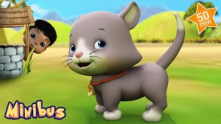 Ding Dong Bell  The Baby Cat Song  More Nursery Rhymes amp Kids Songs  Minibus [upl. by Verdie]