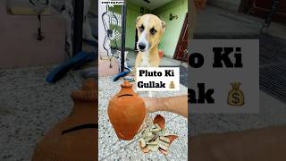 Pluto Ki Gullak 🤩  Paisa Hi Paisa 🤑  minivlog [upl. by Toolis]