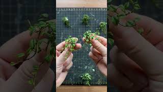 Amazing Creative Miniature Art artist creative art [upl. by Berstine303]