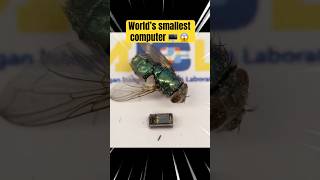 World’s smallest computer 🖥️ 😱 [upl. by Akimit]