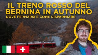 Il trenino ROSSO del BERNINA in autunno  tappe più belle e come risparmiare [upl. by Nafis]