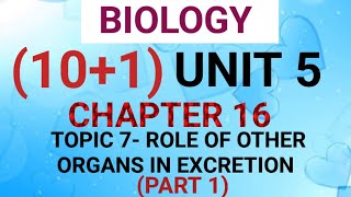 NEET BIO 101 CHAPTER 16 VIDEO 12 [upl. by Ilime]