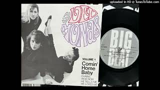 The Delmonas  Comin Home Baby Big Beat Dec 1984 [upl. by Yedrahs]