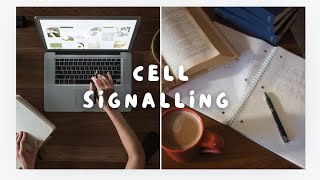 Cell Signalling Key Pathways Mechanisms and function study notes [upl. by Azar194]